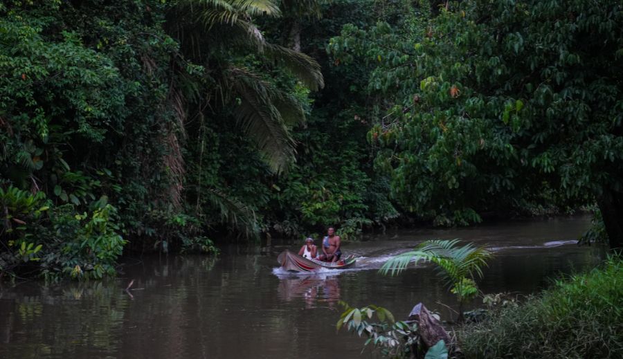 A Ciência que brota da terra: o que os amazônidas ensinam ao mundo