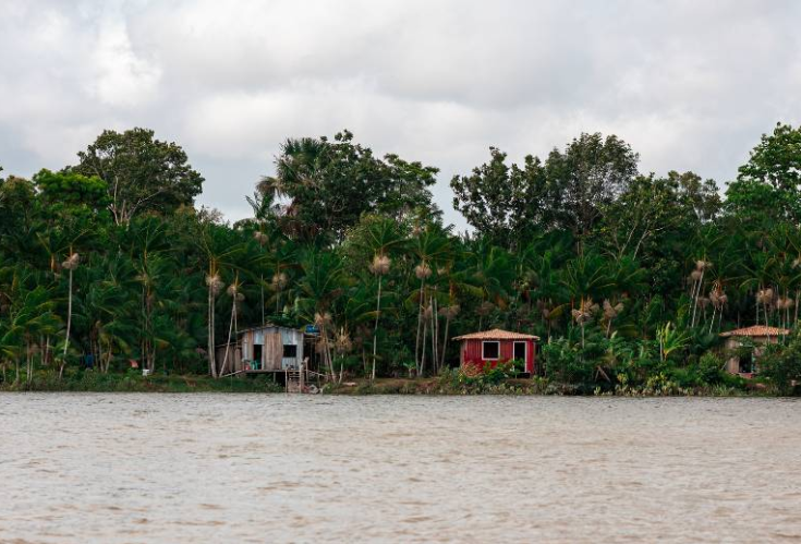 A Inteligência Artificial consegue ouvir a Amazônia? 
