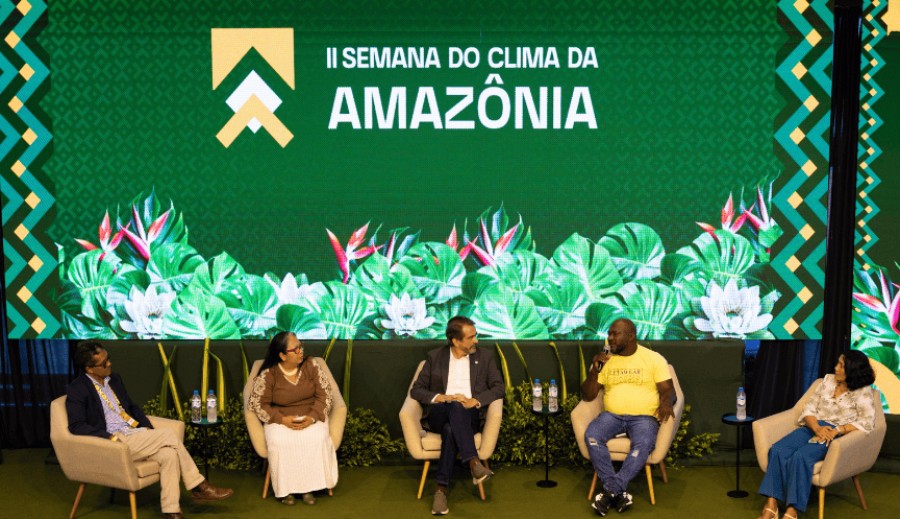 Estratégia para fim do desmatamento não precisa esperar pelo mapa do caminho da COP30