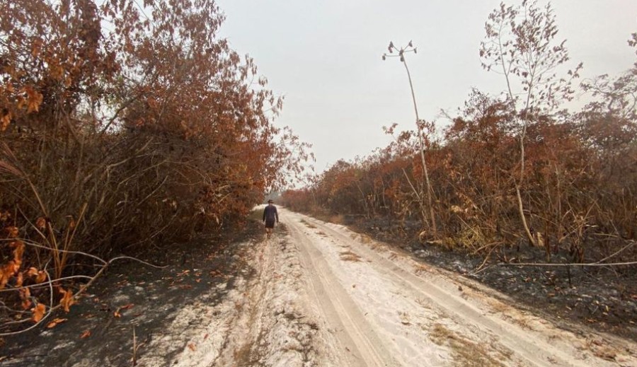 Maior parte das prefeituras do Arquipélago do Marajó não informa o que faz para se adaptar à mudança do clima
