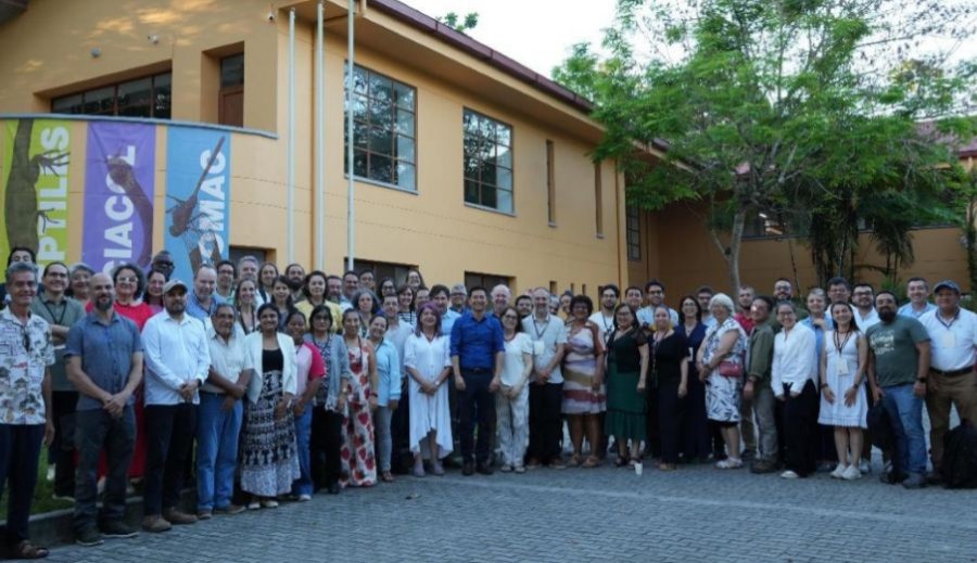 Rede Bioamazonia: Museu Goeldi e mais sete institutos firmam cooperação para ampliar pesquisa colaborativa